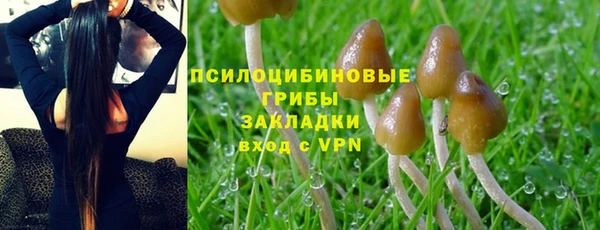 a pvp Белоозёрский