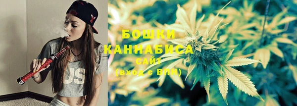 mix Белокуриха